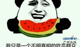 娱乐吃瓜酱专属梗是什么,网络热词背后的趣味与智慧